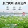 丙田 古法纯藕粉 正宗西湖无添加蔗糖莲藕粉孕产妇术后杭州特产出 【大份量600克】正宗古法纯藕粉 实拍图