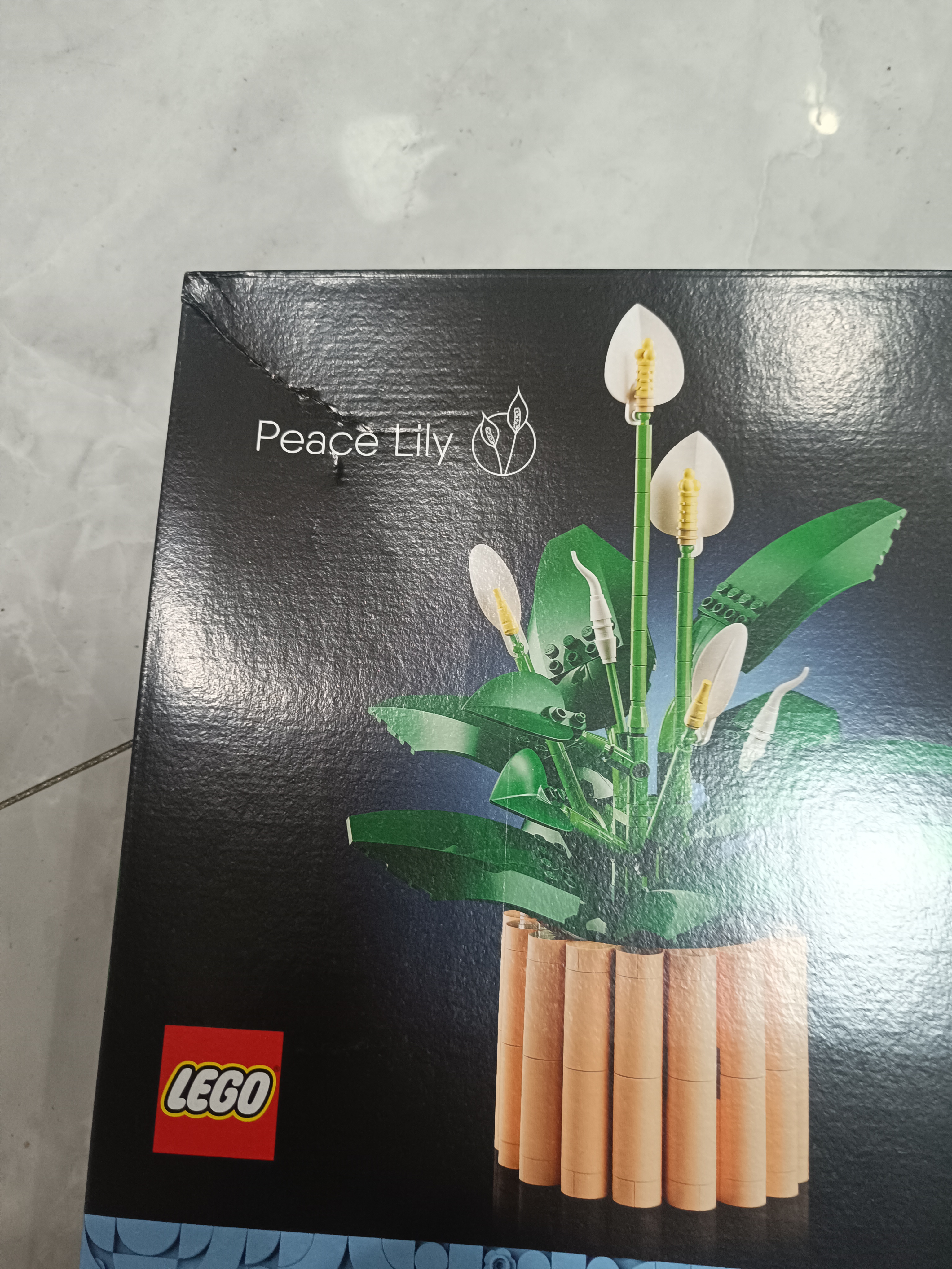乐高（LEGO）积木玩具 创意三合一31146直升机平板运输车 7岁+ 儿童玩具 实拍图