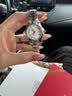 飞亚达（FIYTA）经典“白月光”机械钢带女表皮带礼盒 节日礼物送女友 实拍图