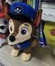 汪汪队立大功（PAW PATROL）毛绒玩具狗狗陪睡玩偶经典款阿奇站姿公仔男女孩儿童生日礼物 实拍图