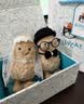 Jellycat好事成双礼盒趣味花生毛绒玩偶娃娃公仔玩具送礼生日礼物 好事成双礼盒 实拍图