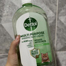 滴露（Dettol）宠物家庭消毒液1L灭杀真菌细菌 猫砂去味 宠物除臭除味剂消毒水 实拍图