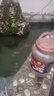 德瑞水族 鱼饲料锦鲤饲料育成色扬增体鱼食金鱼饲料血鹦鹉鱼鱼粮中粒1.5kg 晒单实拍图