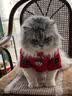 麦斯蒂宠物猫咪零食慕斯猫罐头金枪鱼肉泥细腻补水营养湿粮 85g*24罐 实拍图