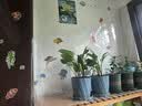 仓藏静电墙面保护膜壁纸墙纸贴纸自粘厨房防油污防水防潮贴纸白板墙贴 实拍图
