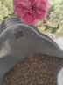 路斯（Luscious）猫粮肉松夹心鲜肉无谷全价益生菌成猫幼猫通用猫粮 【肉松夹心】鲜肉无谷猫粮4斤 实拍图