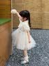 G.duck公主裙女童连衣裙新中式儿童裙子夏装2026新款女孩旗袍生日礼服 米白色 100 （建议身高90cm 3-4岁）cm 实拍图