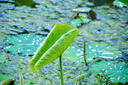 适马（SIGMA）16-300mm f3.5-6.7 DC OS ｜Contemporary 半画幅 远摄变焦镜头 旅游风光人像（索尼E卡口） 实拍图