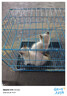 佳通轮胎(Giti)轮胎155/65R13 73H  Wingro 适配 长安奔奔MINI/奇瑞QQ 实拍图