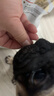 皇家狗粮 巴哥成犬狗粮 犬粮 宠物小型犬 PA29 全价犬粮10月-8岁1.5KG 实拍图