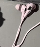 漫步者（EDIFIER）HECATE 双擎入耳式hifi级音乐有线耳机type-c电脑电竞游戏吃鸡耳塞耳麦适用华为oppo小米苹果 粉色 实拍图