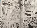 【出版社官方】鬼灭之刃漫画书全套卷完结任选附赠品+外传+公式书+小说电影无限城决战篇周边日本漫画书籍青少年热血动漫简体中文版炭治郎立志篇那田蜘蛛山篇无限列车篇花街篇锻刀村柱训练篇无限城决战篇简体中文版 实拍图