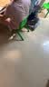 蕉内女士睡裙莫代尔夏季凉感睡衣防走光带杯家居服棉莫亲肤睡衣女 实拍图