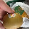 佳沛（zespri）新西兰阳光金奇异果 8个装 特大果单果重约124-146g 水果猕猴桃 实拍图