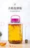 极度空间泡酒瓶泡酒容器泡酒坛玻璃密封罐泡酒专用瓶泡菜坛子 20斤装+酒提 实拍图