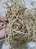 京喜加【26年新根】新鲜鱼腥草折耳根嫩根凉拌节节根现挖猪鼻孔带泥 带泥折耳根1斤 尝鲜装 实拍图