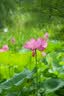 永诺YN50F1.8S DF Lite 索尼FE口全画幅自动定焦镜头 适用于A7M3 A7M4 ZVE10等微单相机 黑壳新品 实拍图