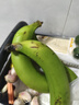 高山精品甜蕉现摘新鲜水果香蕉孕妇宝宝辅食搭配丫丫生鲜特产 1斤装【青蕉发货】 实拍图