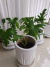 漫生活花托花盆托底盘移动花盆托盘万向轮外径320内径285mm花盆底盘底座 实拍图