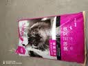 狼孩儿幼猫成猫猫粮深海鱼三文鱼全猫期布偶蓝猫英短猫咪全价粮 三文鱼猫粮5kg(10斤) 实拍图