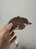 喜之郎果冻90g*30袋草莓味 婚庆喜糖伴手礼 休闲儿童零食大礼包家庭量贩 实拍图