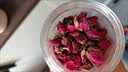 方家铺子玫瑰花茶75g*2瓶重瓣红玫瑰泡水冲饮花草茶滋补礼品 实拍图