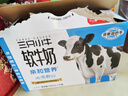 现代牧业三只小牛无乳糖软牛奶200mlx10盒整箱装 实拍图