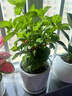 三只松鼠坚果零食端午礼盒2297g/20件松子开心果送礼长辈团购礼盒 实拍图