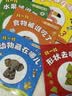 宝宝脑力训练捉迷藏+超好玩的蒙氏数学游戏贴纸书.宝宝启智篇0-3岁（共11册）幼儿童专注力提升启蒙认知思维逻辑推理互动早教绘本 实拍图