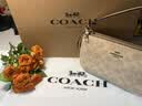 蔻驰（COACH）【品牌直供】女士NOLITA19小号手提麻将包CW426奶茶拼白色礼物 实拍图