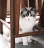 富士（FUJIFILM）X-T5/XT5 微单相机 套机（16-80mm) 4020万像素 7.0档五轴防抖 6K30P 经典机械拨盘 黑色 实拍图
