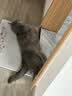 萌宠兄弟宠物耳朵精油棉签猫咪狗狗掏耳屎耳道去耳螨抑菌止痒除臭清洁棉棒 实拍图