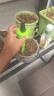 史丹利自动浇水器浇花神器花盆定时植物懒人用绿植花卉家用滴水器2个装 实拍图