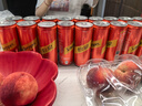 可口可乐（Coca-Cola）怡泉 Schweppes ginger 干姜水 汽水饮料 调酒 330ml*24 整箱装 实拍图