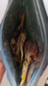 京东京造香酥小黄鱼100g 即食下酒海鲜黄鱼酥小鱼干鱼仔高蛋白零食 实拍图