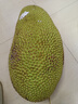 晟容果蔬菠萝蜜整个当季新鲜水果应季热带海南黄肉菠萝蜜非红肉送礼 20-25斤【家庭装-吃货分享】 50年老树果丨老农严选 实拍图