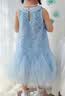 迪士尼艾爱莎公主连衣裙女童裙子夏季2026新款儿童洋气演出服公主风童装 实拍图