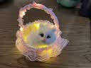 亦趣仿真猫咪玩偶会叫提篮小猫咪毛绒玩具篮子猫女孩生日六一儿童礼物 提篮粉色蕾丝白猫带叫声 实拍图