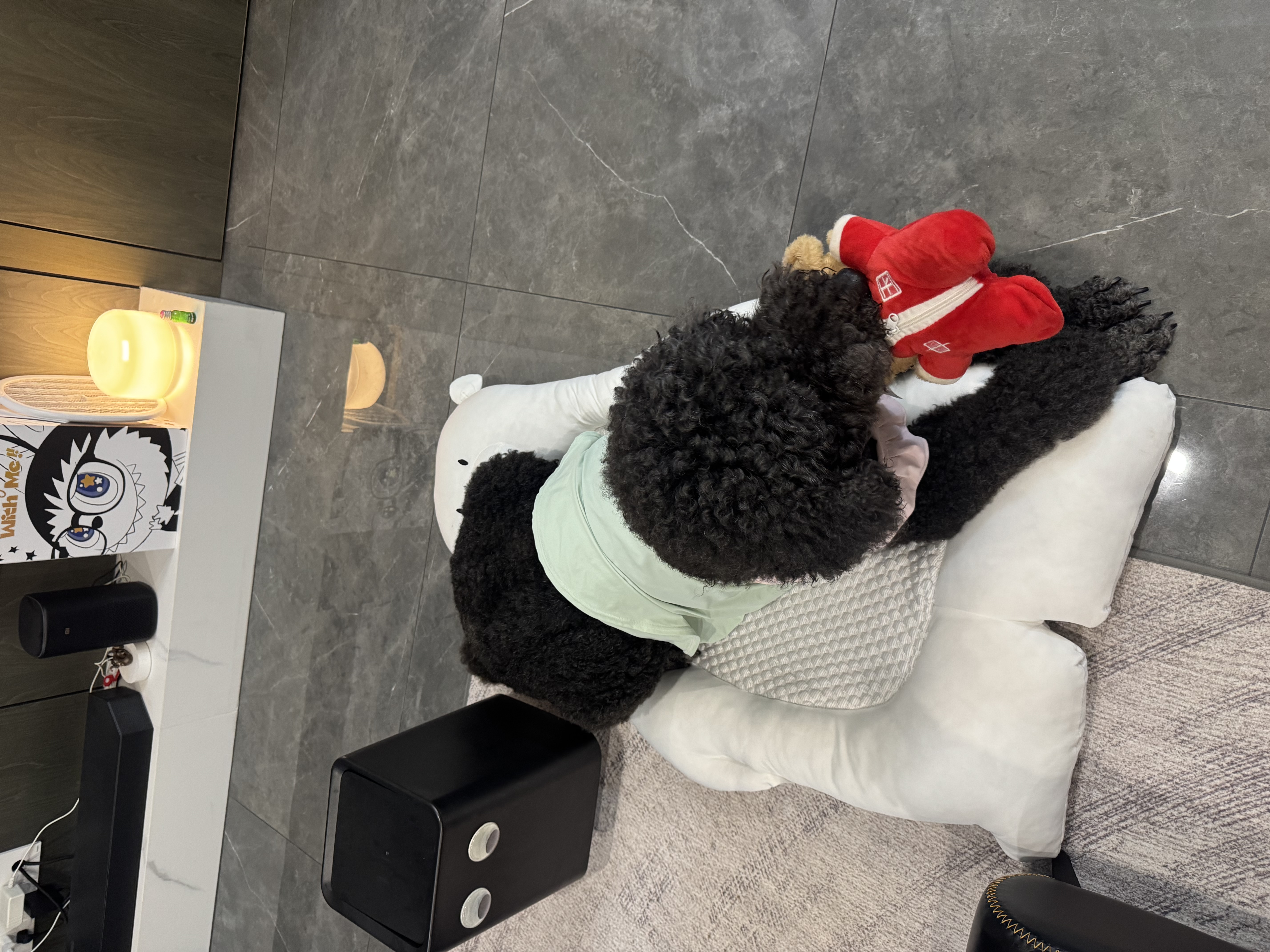 比乐牛肉牛骨成幼犬通用狗粮15kg小型中大型犬泰迪金毛囤货装 实拍图