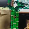 乐高（LEGO）积木10344 心动的信号同款富贵竹男女孩玩具生日礼物 实拍图