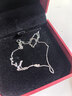 周大福小版简约O字PT950铂金项链素链 PT162206 40cm生日礼物 实拍图
