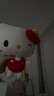 澳贝（auby）婴幼儿玩具三丽鸥凯蒂猫安抚玩偶哄睡阿贝贝新生儿毛绒手偶礼物 实拍图