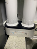 道尔顿（Doulton）净水器滤芯DCP/DIP203 DIP301净水器适配滤芯套装 DIP/DCP203滤芯套装2504M12+KDF 实拍图