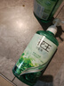 花王（KAO）洗发水750ml 薄荷洗头水冰爽控油蓬松止痒去油男女士洗发露洗发液 实拍图