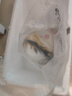 锦鲤鱼活体观赏鱼活鱼小型易养冷水淡水鱼小鱼苗锦鲤金鱼好看锦鲤 10-12cm 黄金1+白金1+黑金1 实拍图
