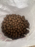 陶粒通用型垫底陶粒养花专用花盆铺面陶土种植土兰花多肉营养土 10升园艺陶粒（中颗粒12-16mm） 实拍图