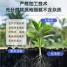 星宸花草博士草木灰种菜用的肥料瓜果蔬菜防虫害有机钾肥农家肥通用有机肥3斤 实拍图