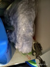 五月花旋转拖把杆共2布加粗拖把盘尘推杆圆拖把头配件杆盘套装JJ-PJ137 实拍图