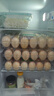 志高电冰箱双门家用节能冰箱出租屋冷藏冷冻环保迷你冰箱办公室公寓租房宿舍低噪电冰箱 【新品让利128L特卖款】银色一级能效S218 实拍图