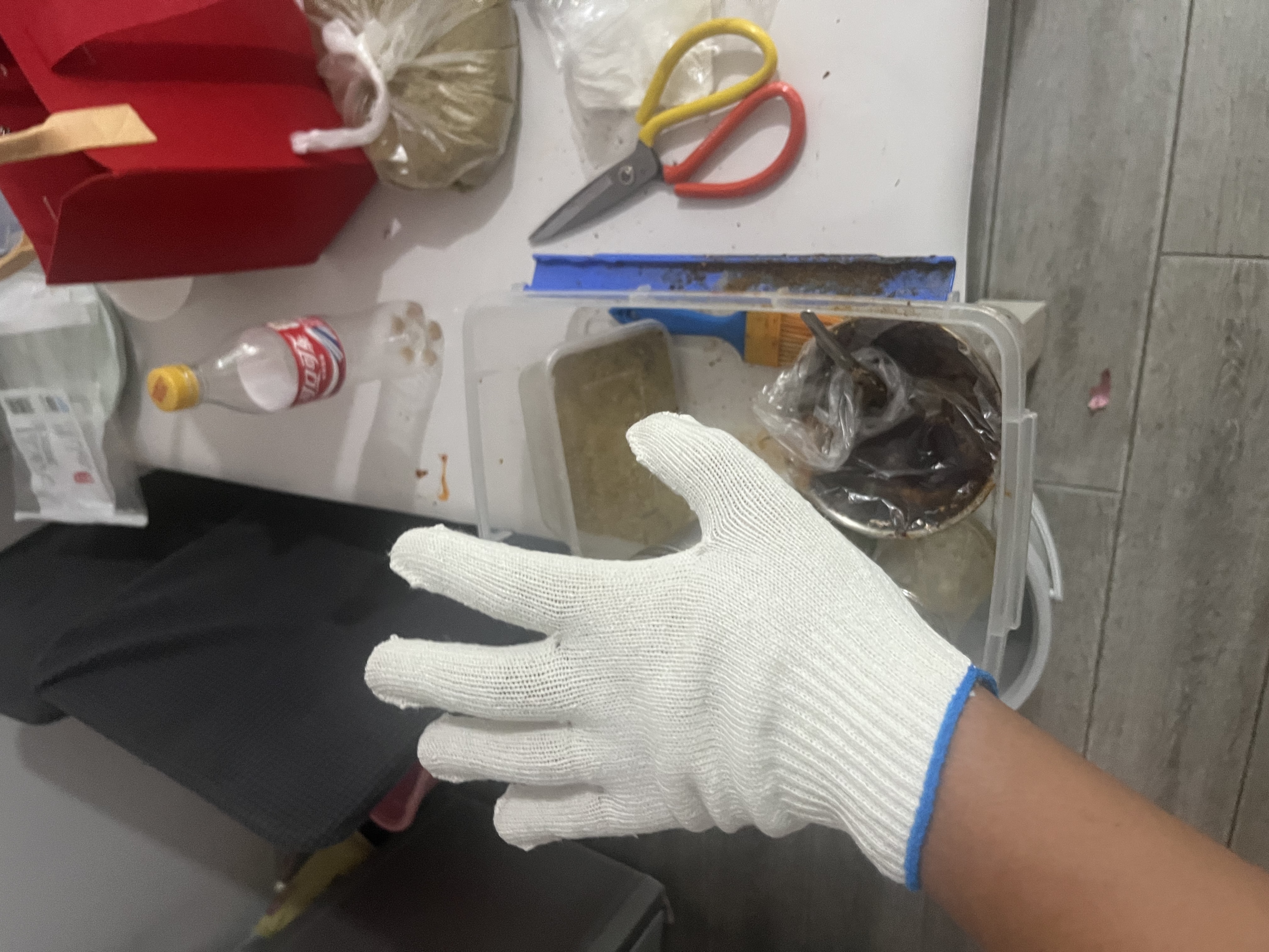 晟防手套劳保耐磨工作防滑棉加厚白棉纱棉线工地手套500蓝边20双 实拍图